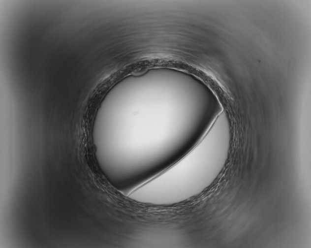 X0000096220967200801181026