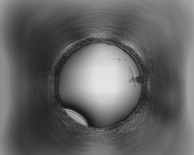 X0000096220968200801181026