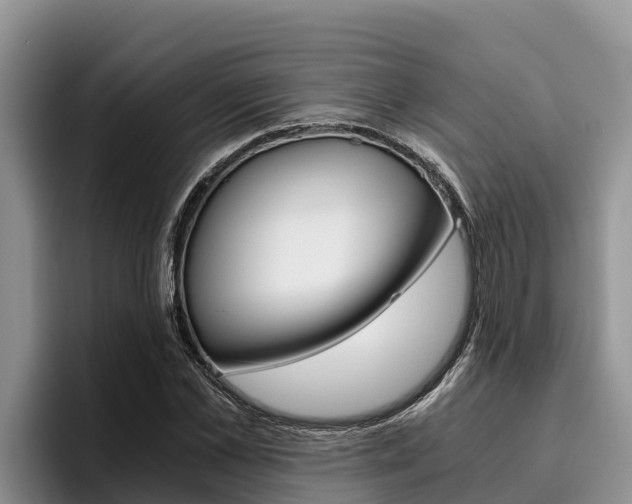 X0000096220973200801181026