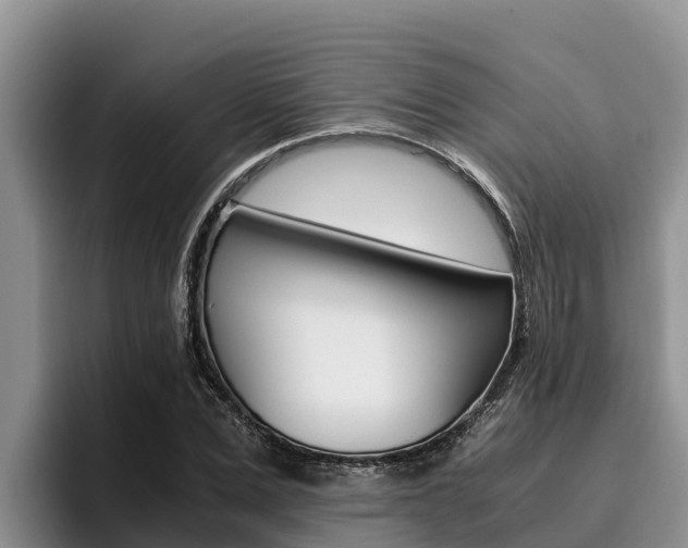 X0000096220975200801181026