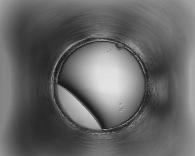 X0000096220976200801181026