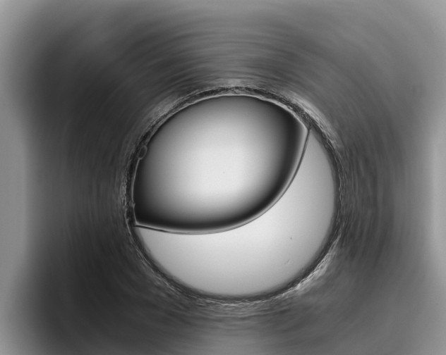 X0000096220977200801181026