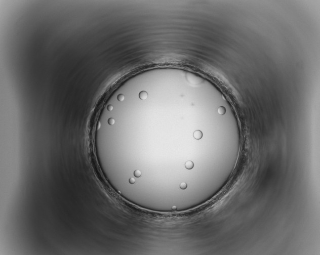 X0000096220978200801181026