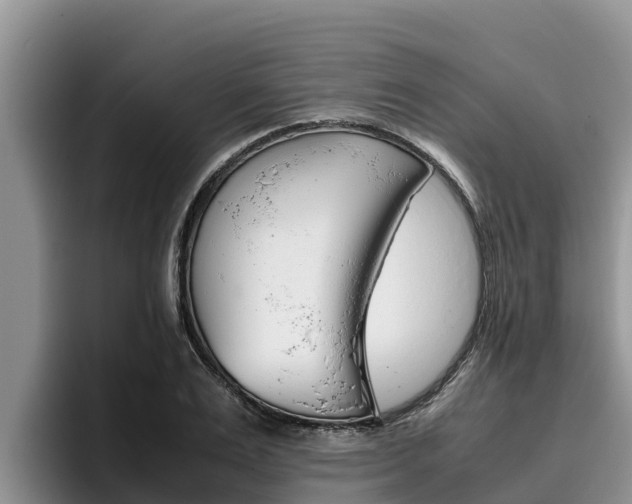 X0000096220983200801181026