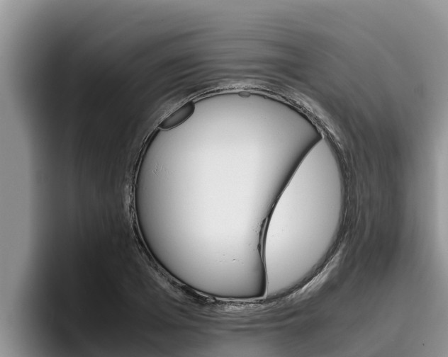 X0000096220985200801181026