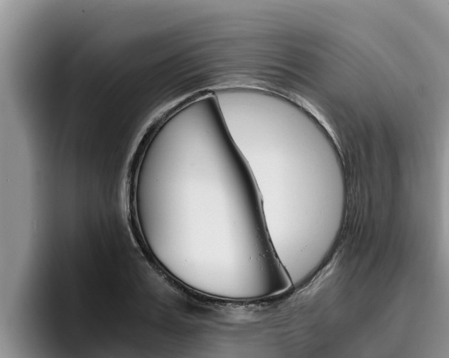 X0000096220987200801181026