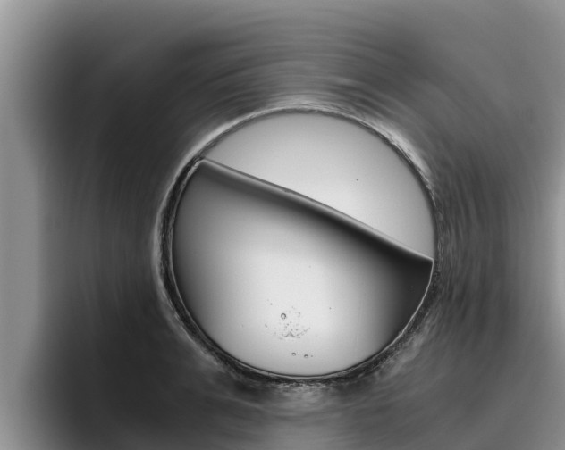 X0000096220991200801181026