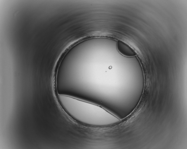 X0000096220992200801181026