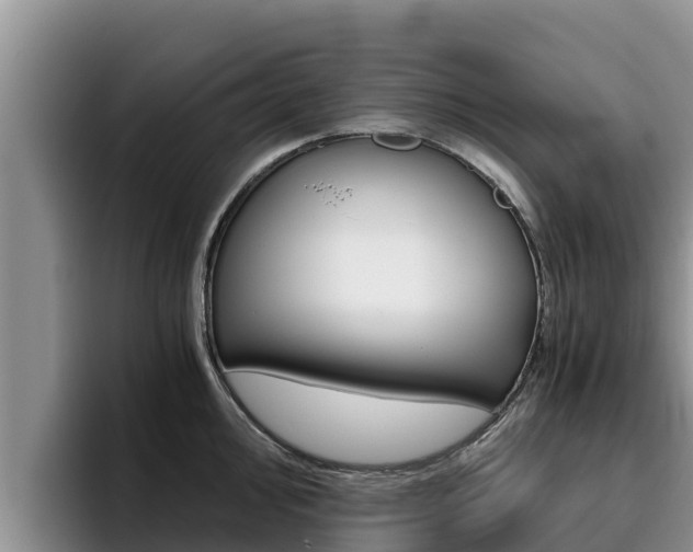 X0000096221000200801181026