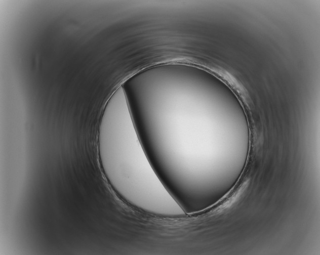 X0000096221001200801181026