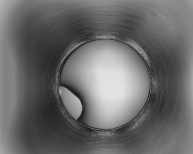 X0000096221002200801181026