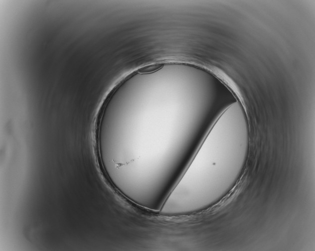 X0000096221005200801181026