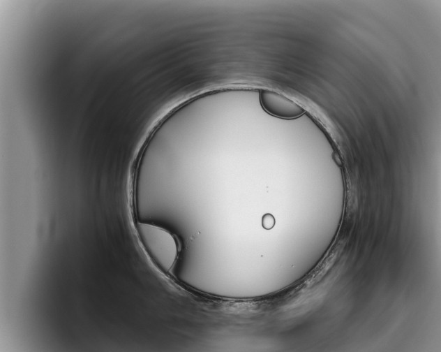 X0000096221006200801181025