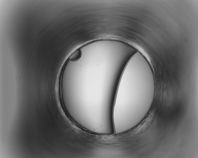 X0000096221007200801181025