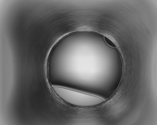 X0000096221008200801181025