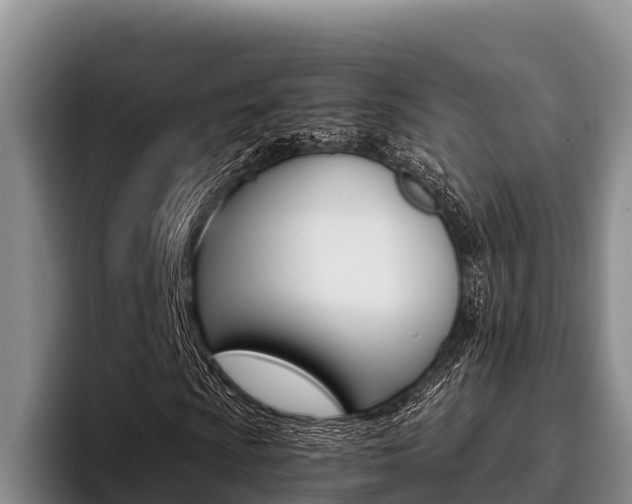 X0000096221009200801181025