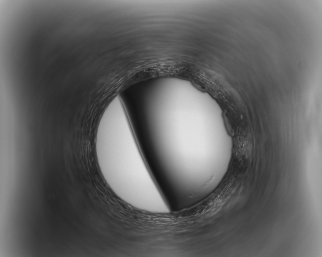 X0000096221010200801181025