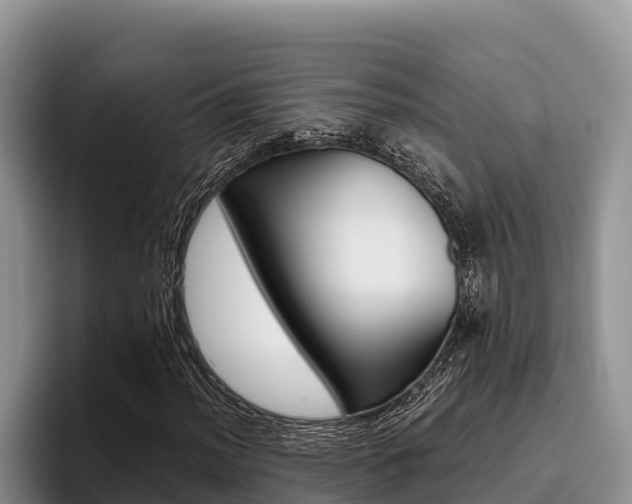 X0000096221012200801181025