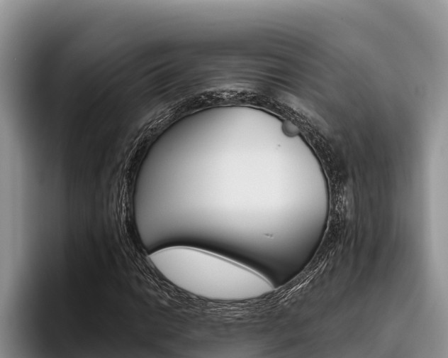 X0000096221014200801181025