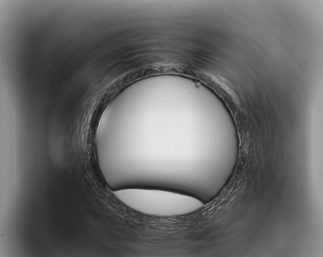 X0000096221015200801181025