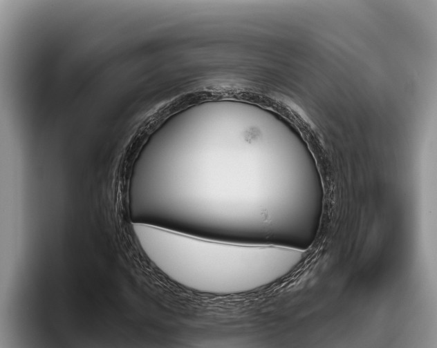 X0000096221016200801181025