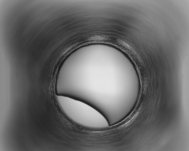 X0000096221017200801181025