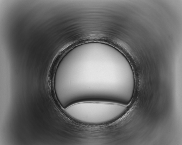 X0000096221018200801181025