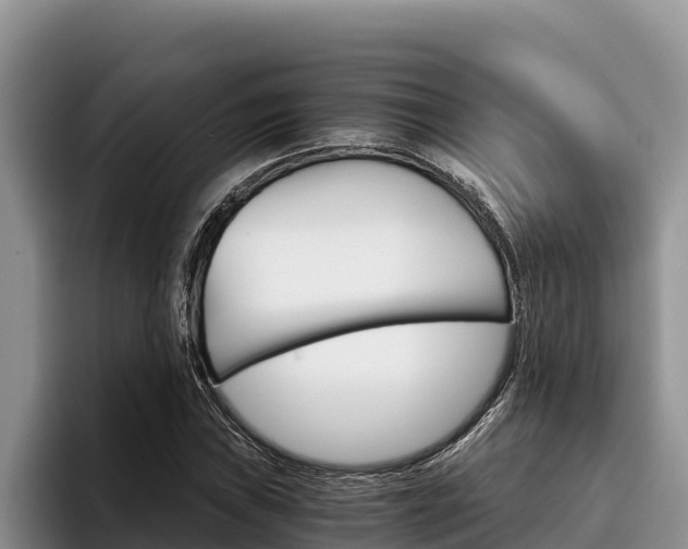 X0000096221019200801181025