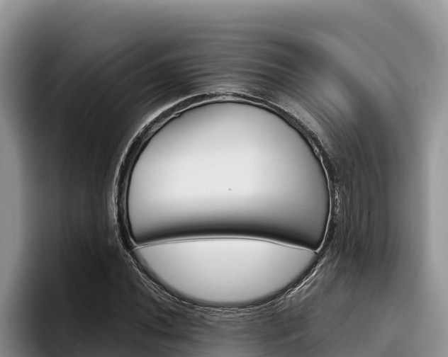 X0000096221020200801181025