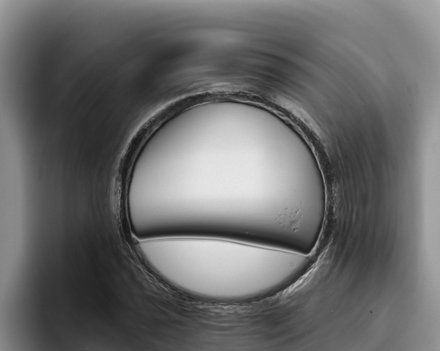 X0000096221021200801181025