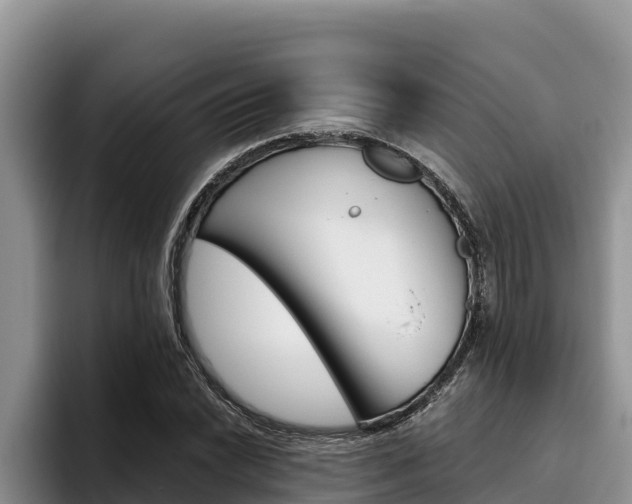 X0000096221022200801181025