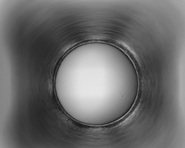 X0000096221025200801181025