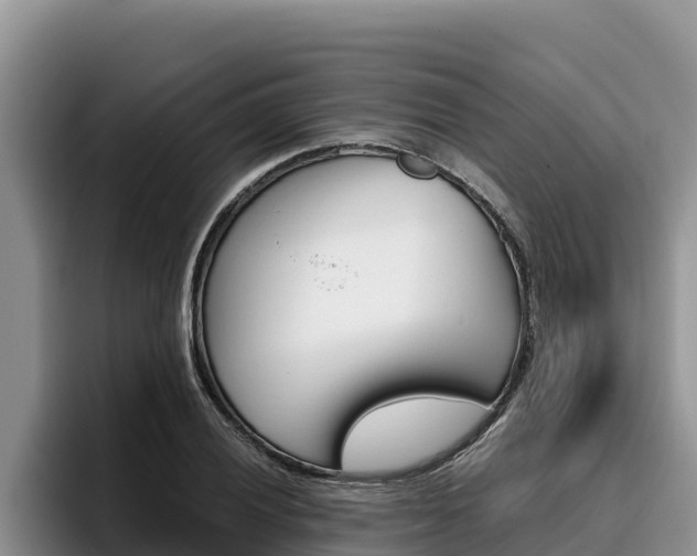 X0000096221028200801181025