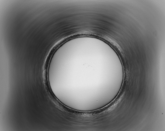 X0000096221029200801181025
