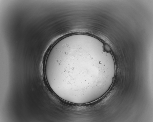 X0000096221030200801181025