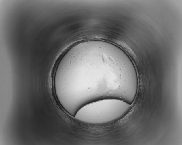 X0000096221031200801181025
