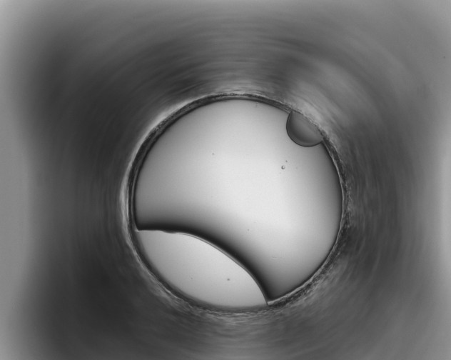 X0000096221032200801181025