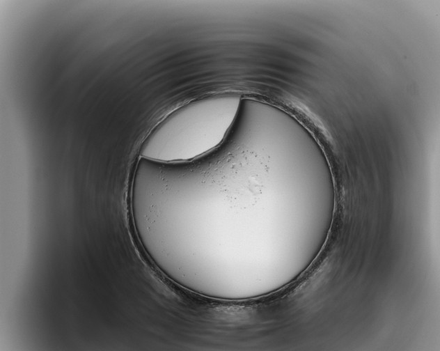 X0000096221033200801181025