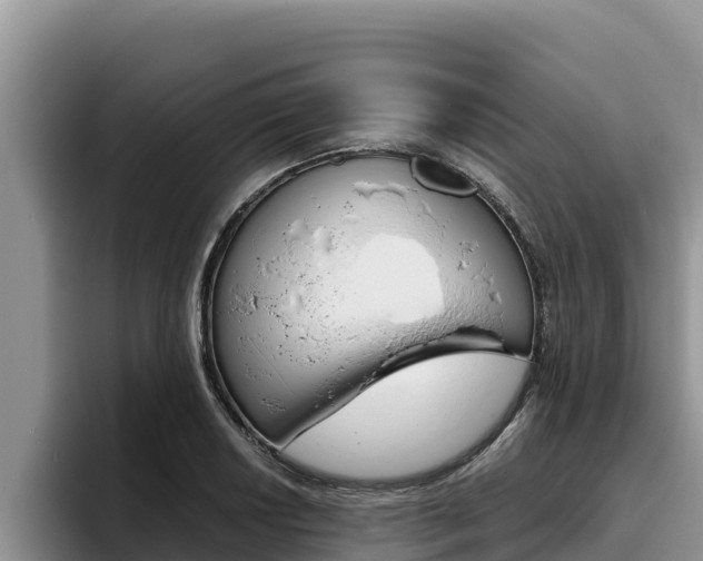 X0000096221034200801181025