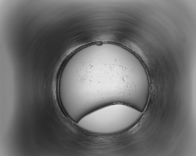 X0000096221035200801181025