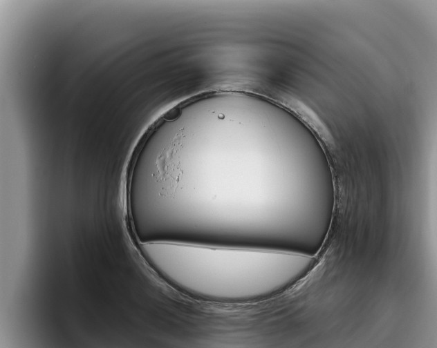X0000096221036200801181025