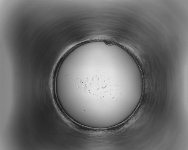 X0000096221038200801181025