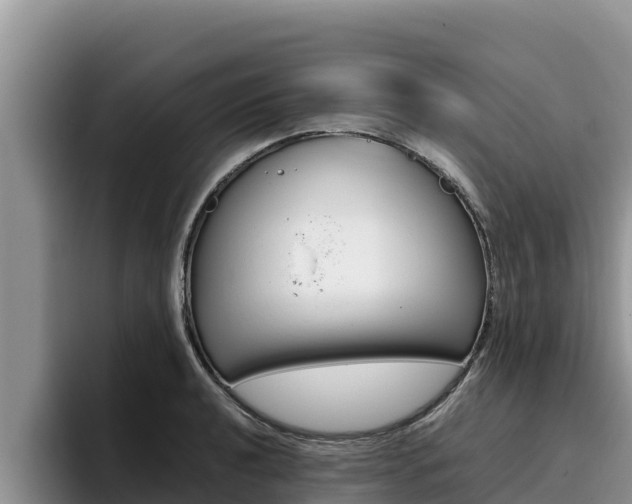 X0000096221040200801181025