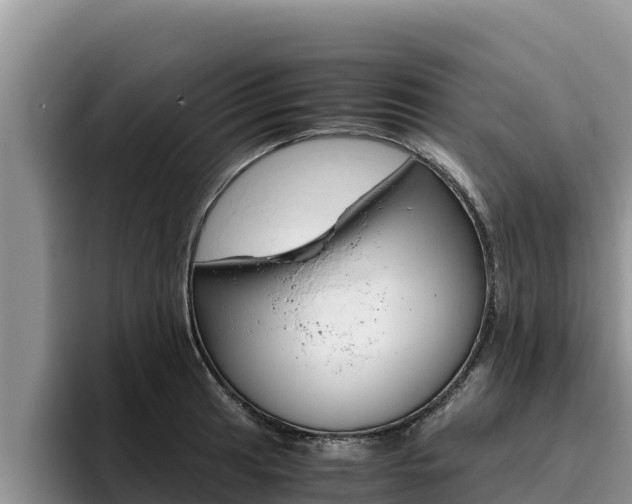 X0000096221041200801181025