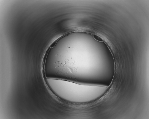 X0000096221042200801181025