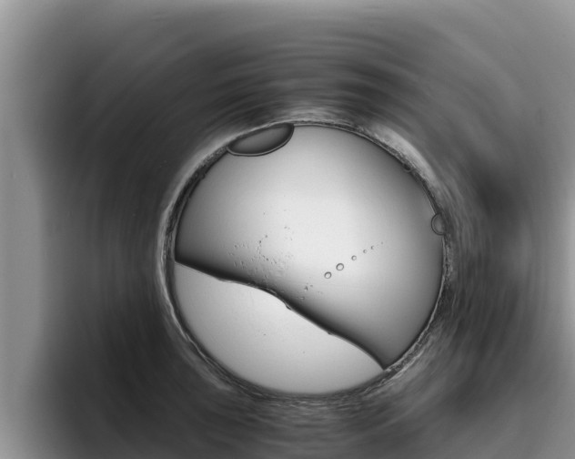X0000096221043200801181025
