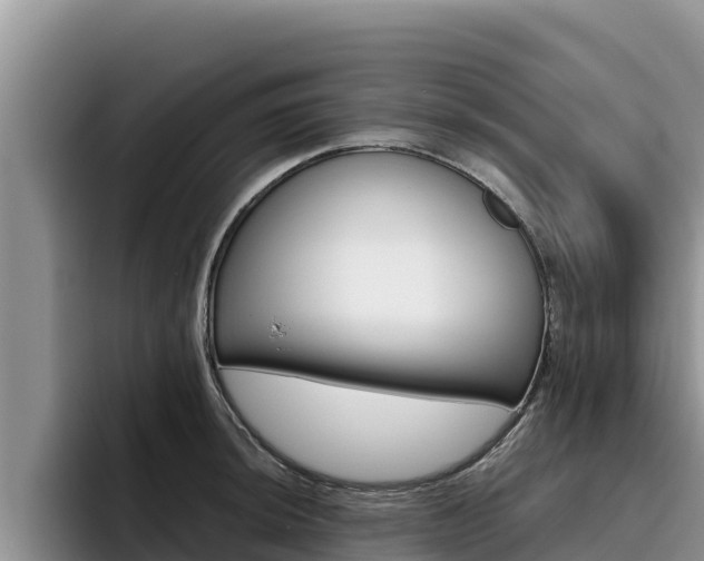 X0000096221044200801181025