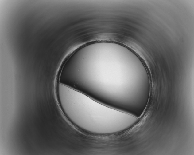 X0000096221045200801181025