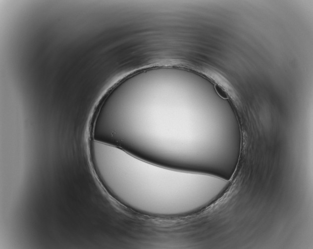 X0000096221046200801181025