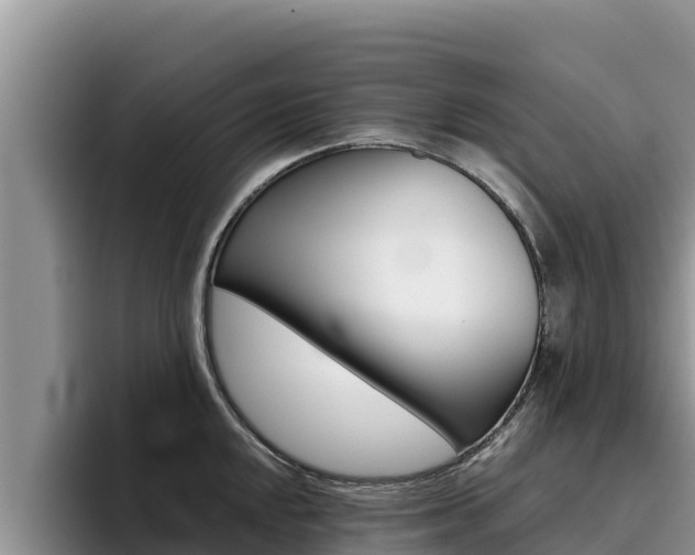 X0000096221048200801181025